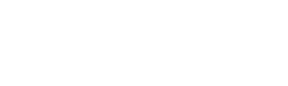 Seattle Dash Cams