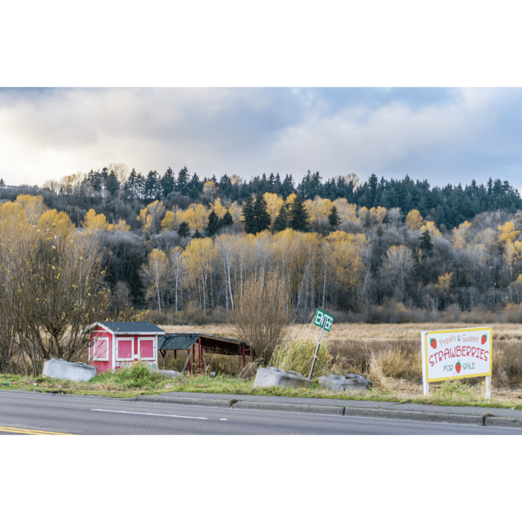 Roadside fruit stand selling strawberries in Kent, Washington.